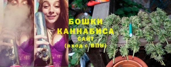 амф Беломорск